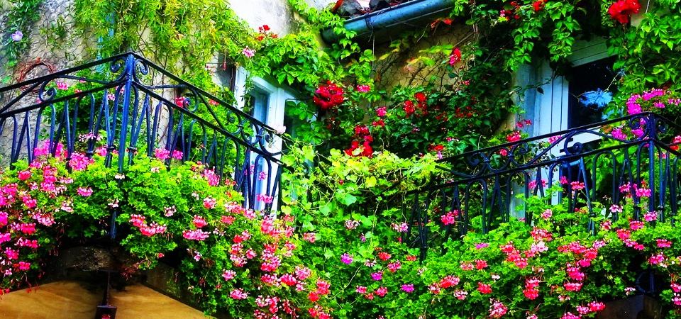 Вертикальное озеленение балкона: 20 идей и 10 советов