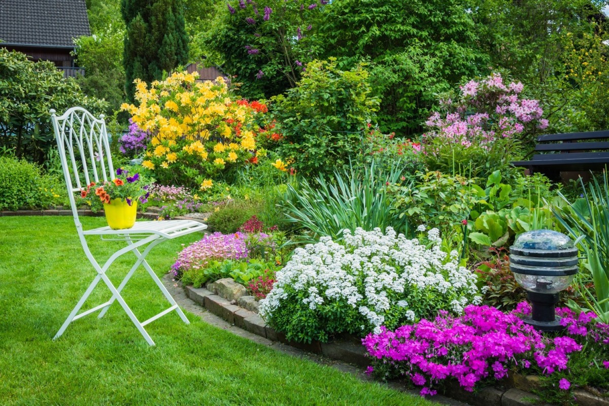 Куда сажать цветы: 5 способов посадить цветы красиво