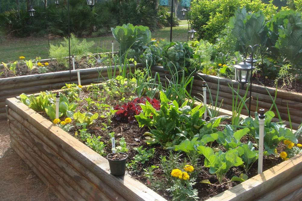 Проектируем идеальный огород в саду | ProGarden Group | Дзен